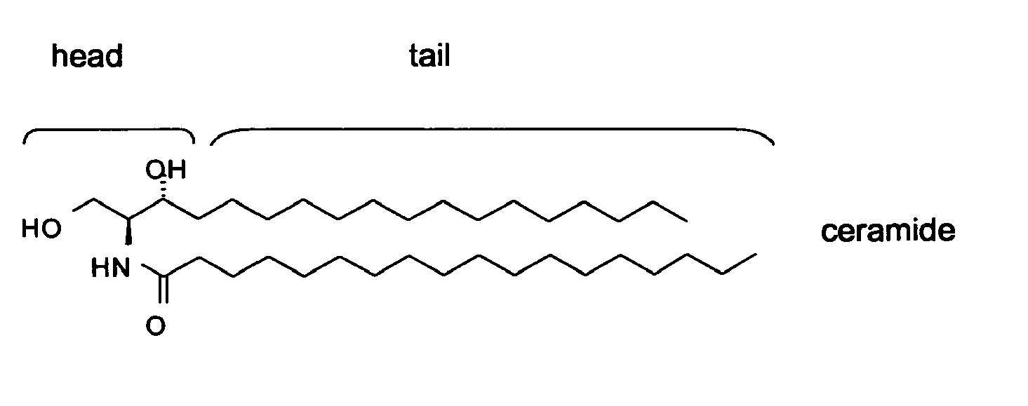 struktur-ceramide-makanan-penurun-kolesterol-alami