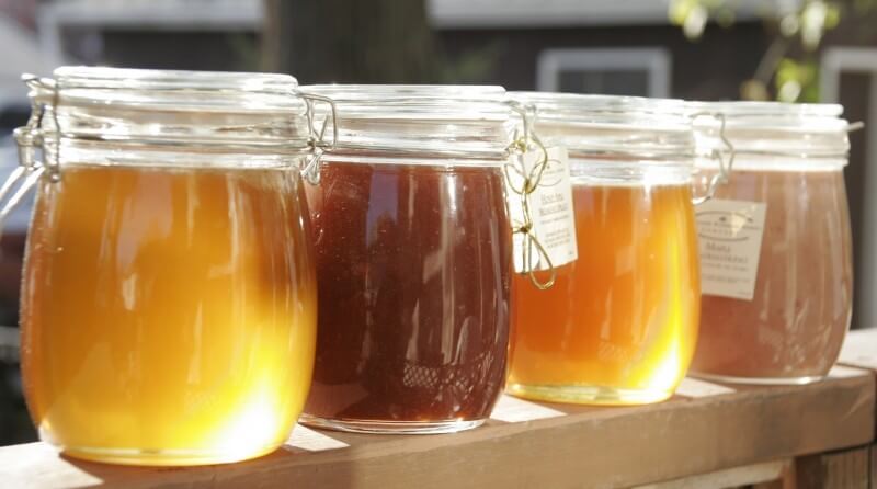 jenis-jenis-madu