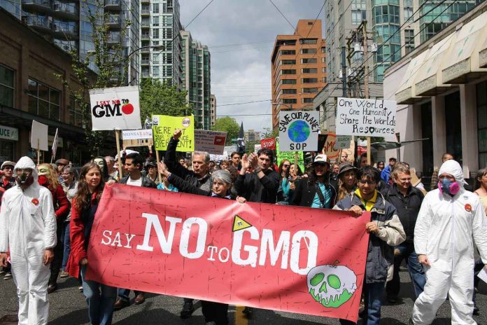 gmo-rekayasa-genetika