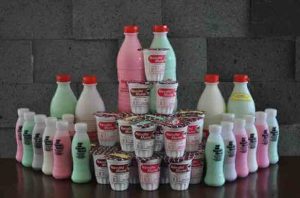 susu-pasteurisasi