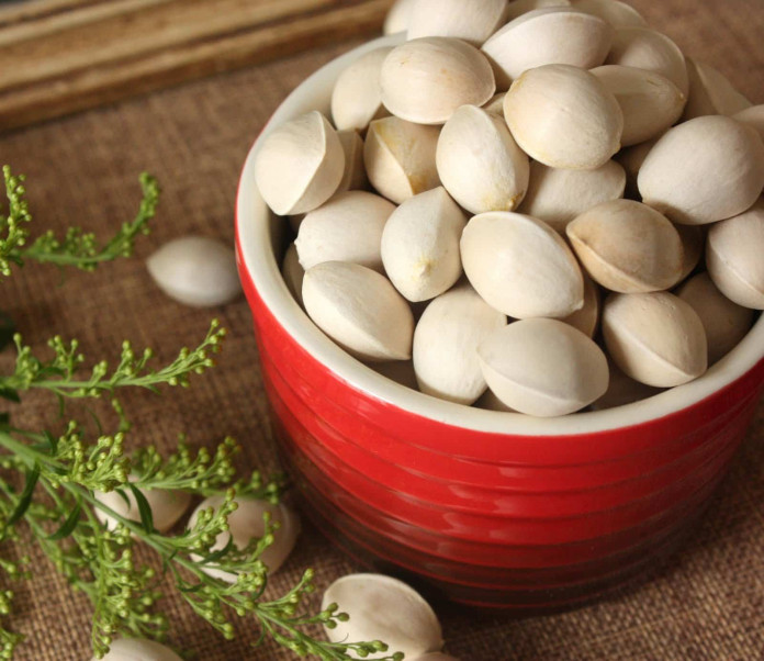 “Kacang” Ginkgo Biloba Boleh Lho Dicoba..