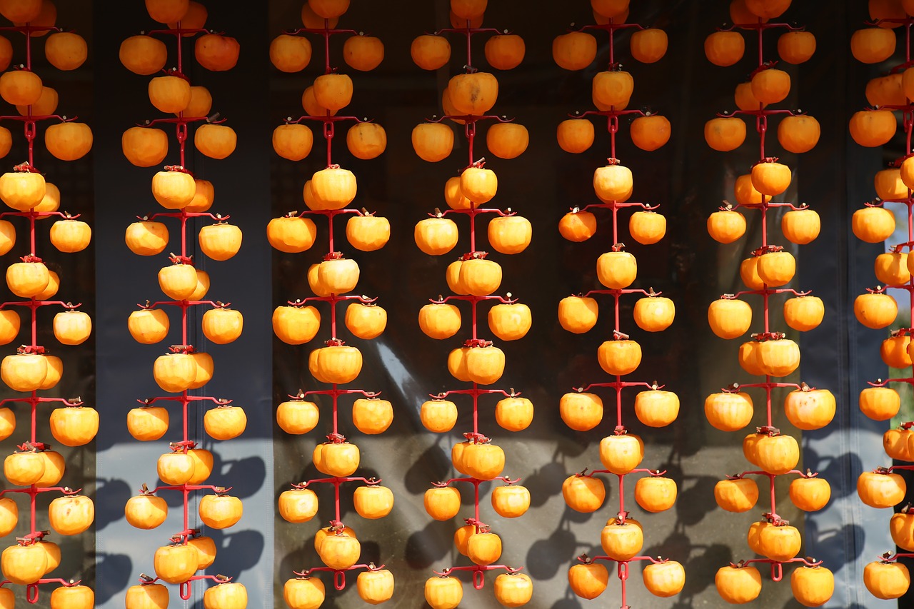 dried-persimmon-anpogaki-jepang