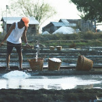 proses-produksi-garam